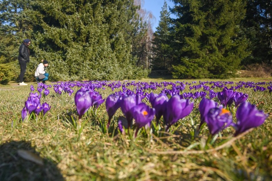Co robić w weekend w Łodzi? Wiosenne Zakupy z siostrami ADiHD, otwarcie Wigencji