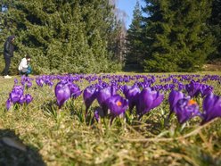 Co robić w weekend w Łodzi? Wiosenne Zakupy z siostrami ADiHD, otwarcie Wigencji