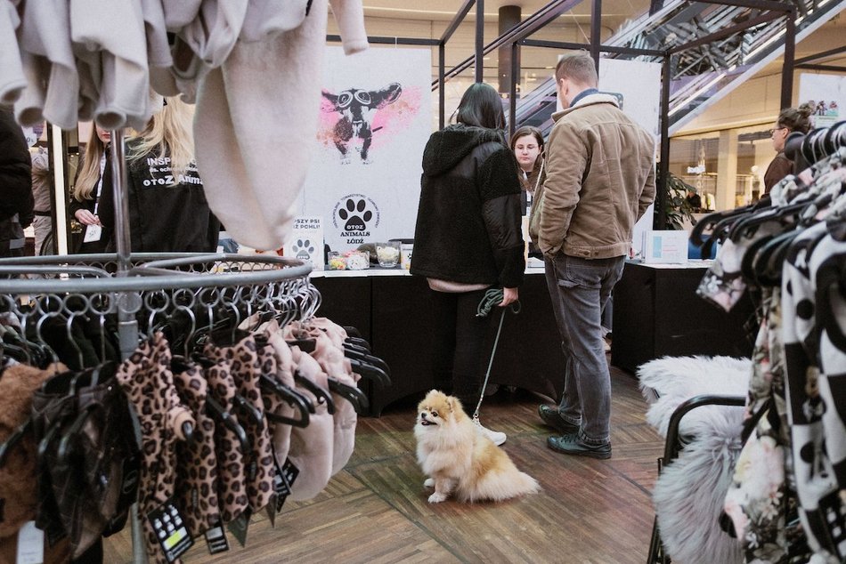 Łódź. Psi Targ w Manufakturze