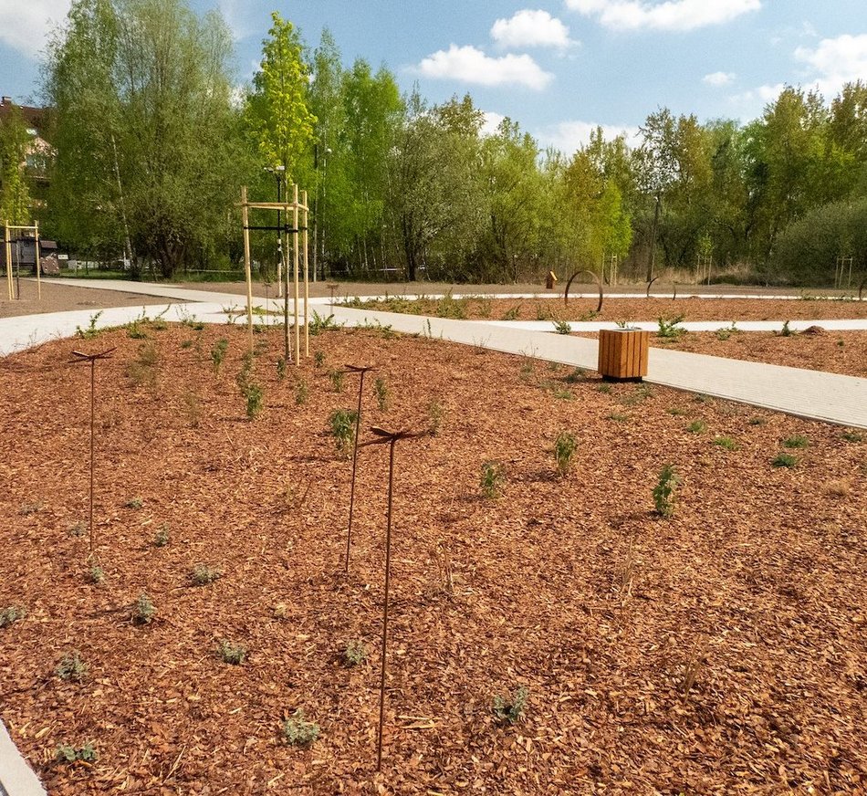 Łódź. Nowy park na Janowie w Łodzi. Kiedy podrosną rośliny, zobaczymy zieloną oazę