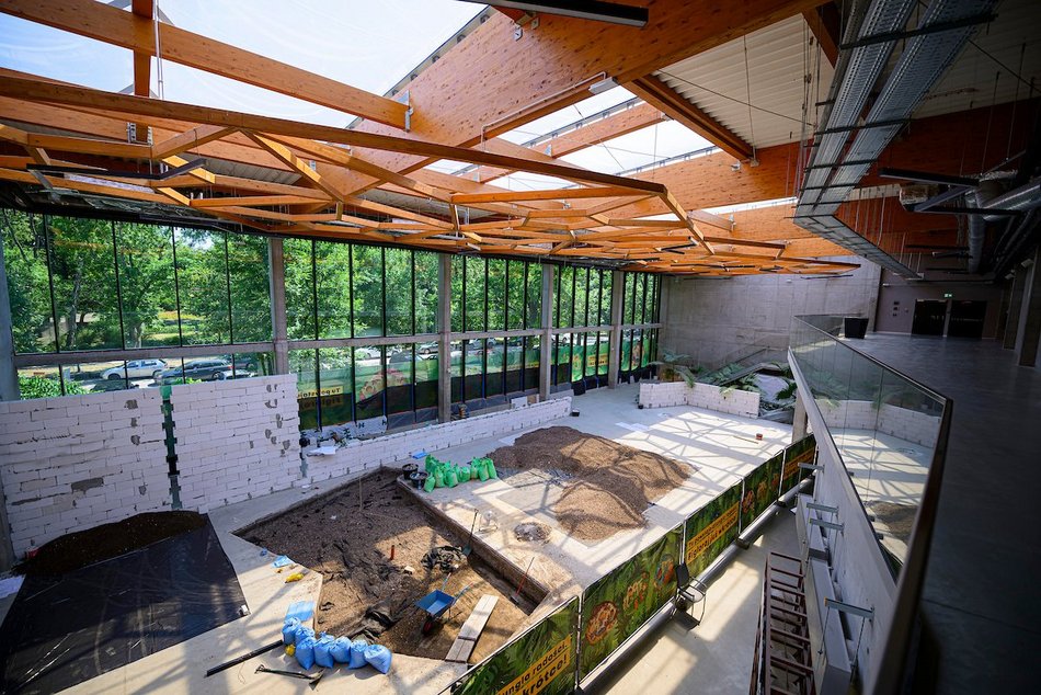 Łódź. Nowa atrakcja dla dzieci w Orientarium Zoo Łódź! Figloraj ze zjeżdżalniami, wieżą i tyrolką