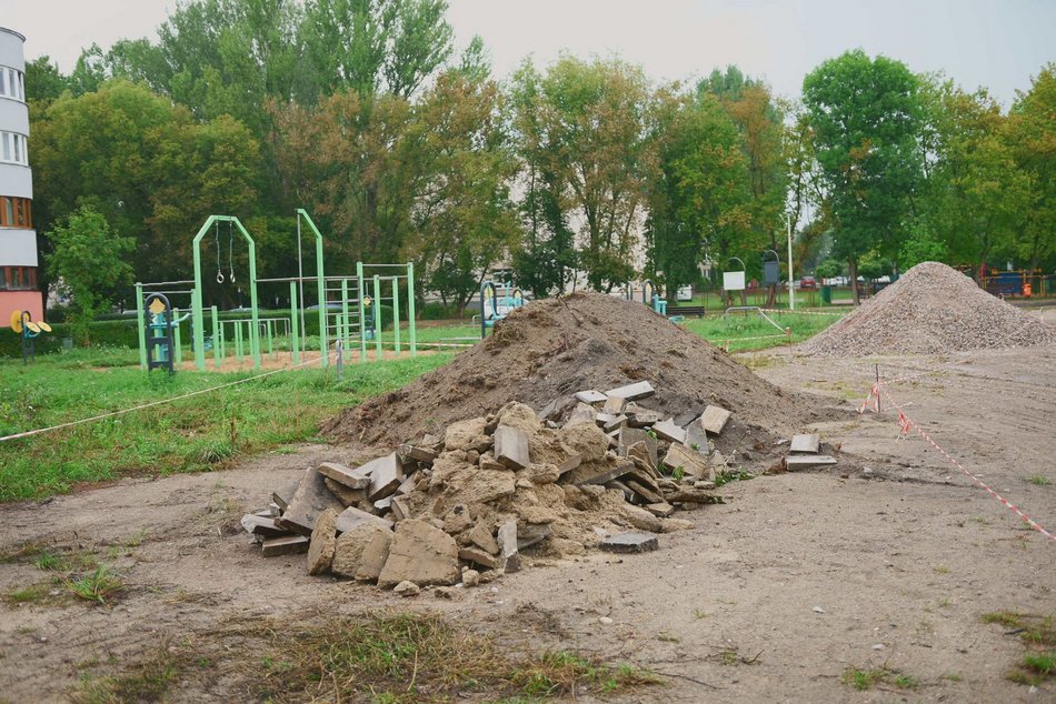 Tu powstaje raj dla pszczół! Park z miododajnym zakątkiem na Radogoszczu