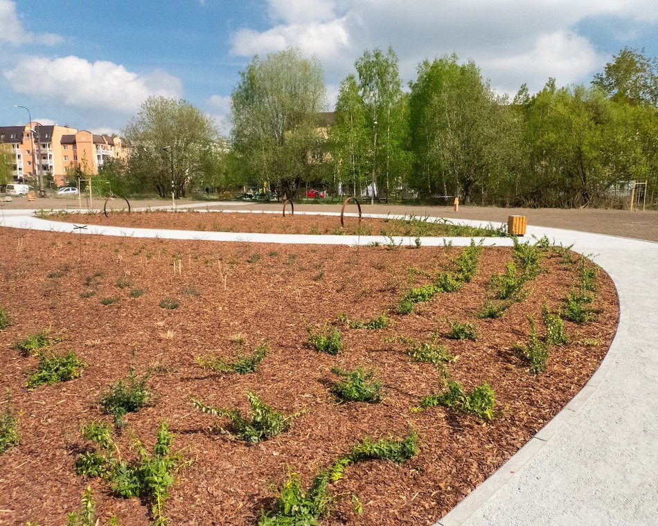 Łódź. Nowy park na Janowie w Łodzi. Kiedy podrosną rośliny, zobaczymy zieloną oazę