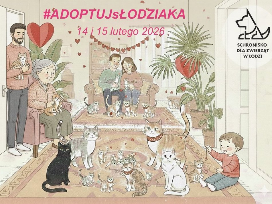 Łódź. Walentynki w schronisku w Łodzi