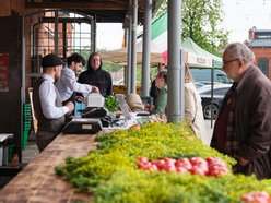 Łódź. Bazar smaku w Ogrodach Geyera w Łodzi przyciąga smakoszy! Zdrowa żywność dla każdego