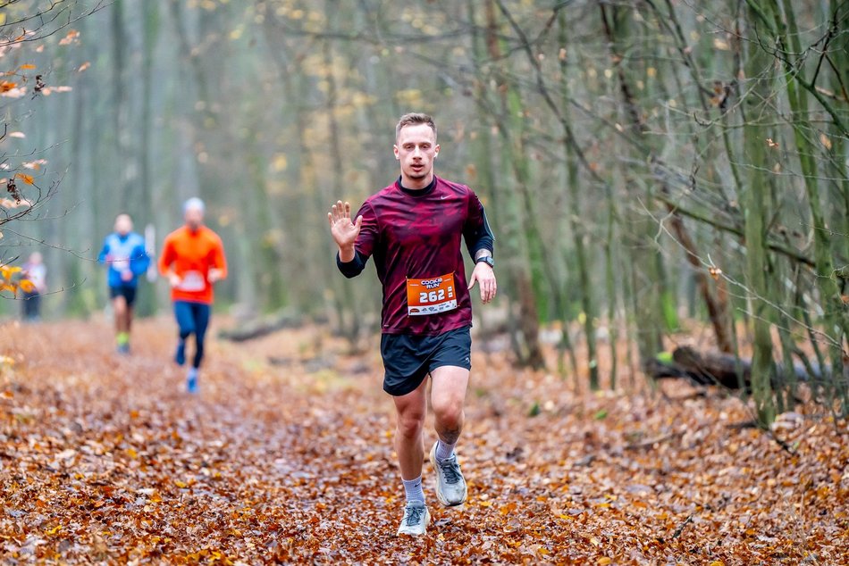 Cookie Run w Lesie Łagiewnickim w Łodzi