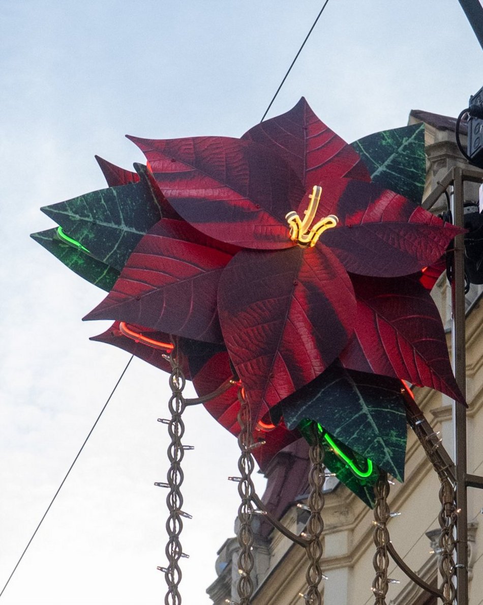 Łódź. Coraz bliżej Święta! Na Piotrkowskiej w Łodzi pojawiły się już pierwsze dekoracje