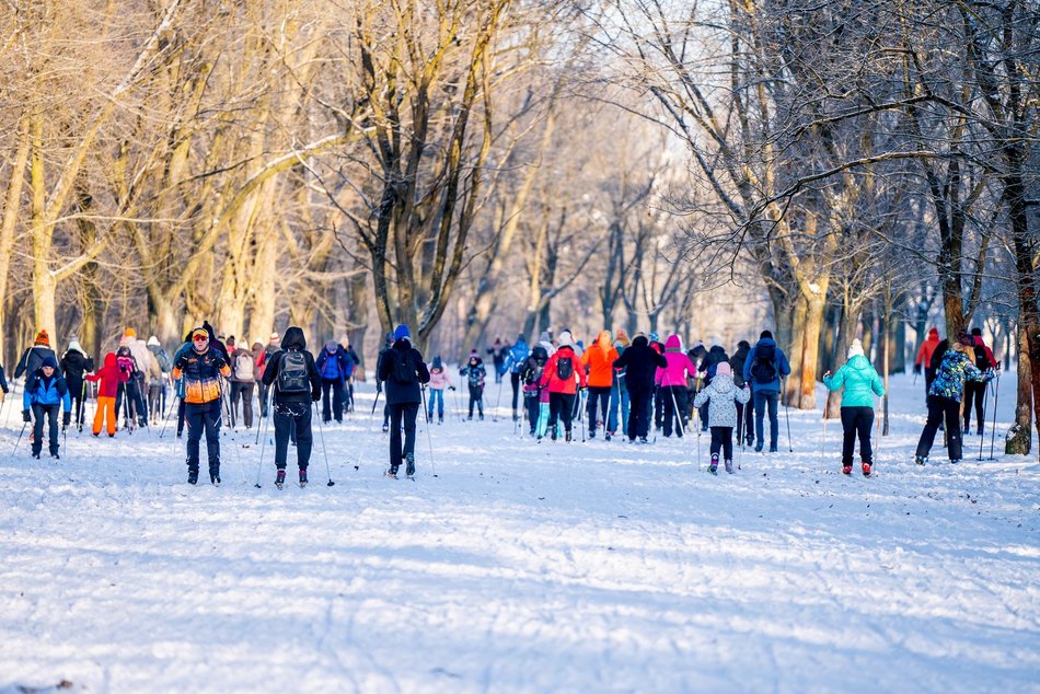 Łódź. Zajęcia z narciarstwa biegowego
