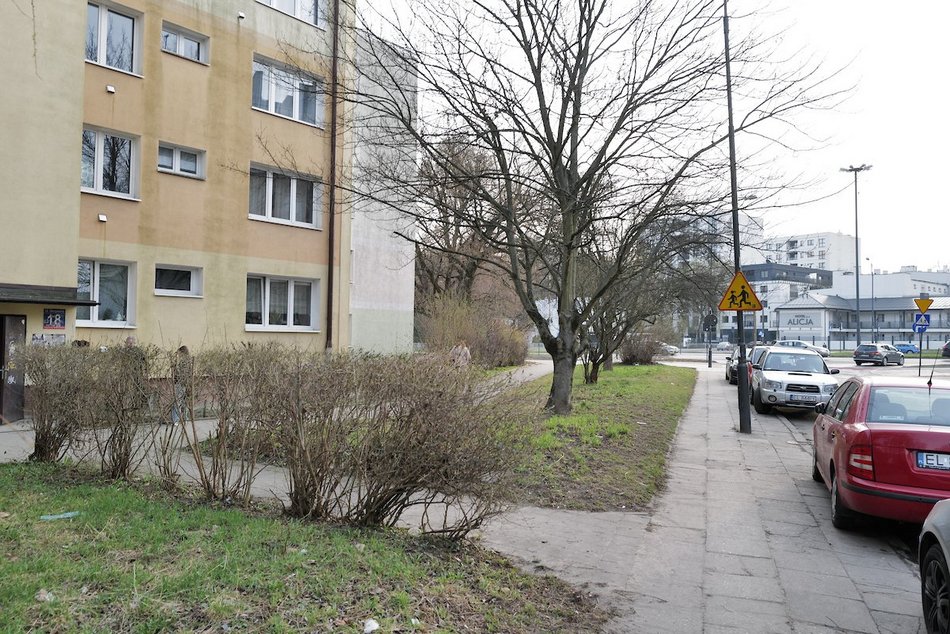 Łódź. Ulica Skrzywana w Łodzi będzie jeszcze zieleńsza! Nowy skwer w ramach Budżetu Obywatelskiego Łódź