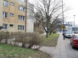 Łódź. Ulica Skrzywana w Łodzi będzie jeszcze zieleńsza! Nowy skwer w ramach Budżetu Obywatelskiego Łódź