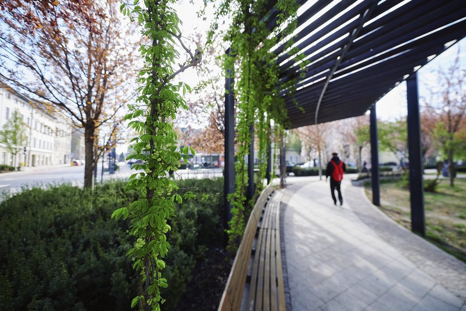 Łódź. Zobacz, jak skwer przy Kilińskiego i Rewolucji w Łodzi mieni się wszystkimi kolorami wiosny