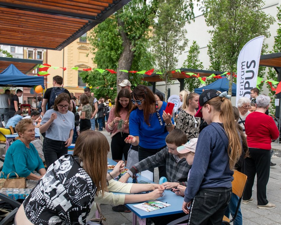 Majówka u Majewskiego