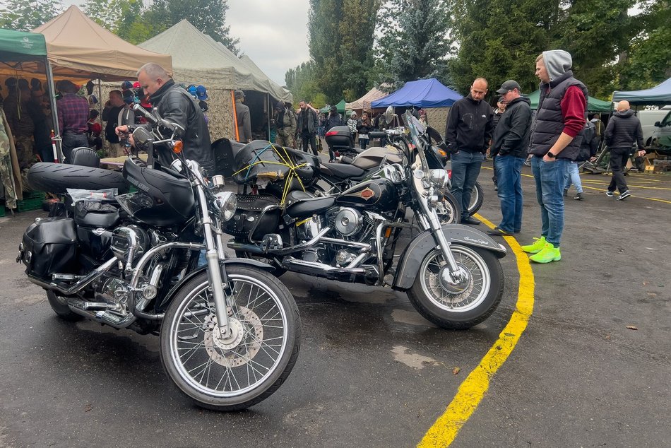 fot. Paweł Łacheta