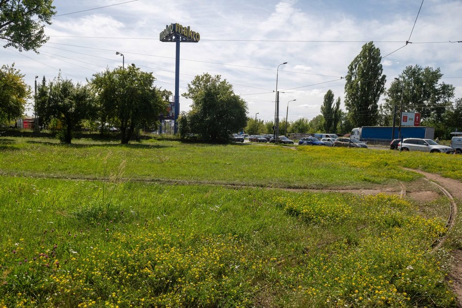 Tramwaje MPK Łódź wrócą na Koziny. Poszukiwany wykonawca remontu torowiska na Srebrzyńskiej