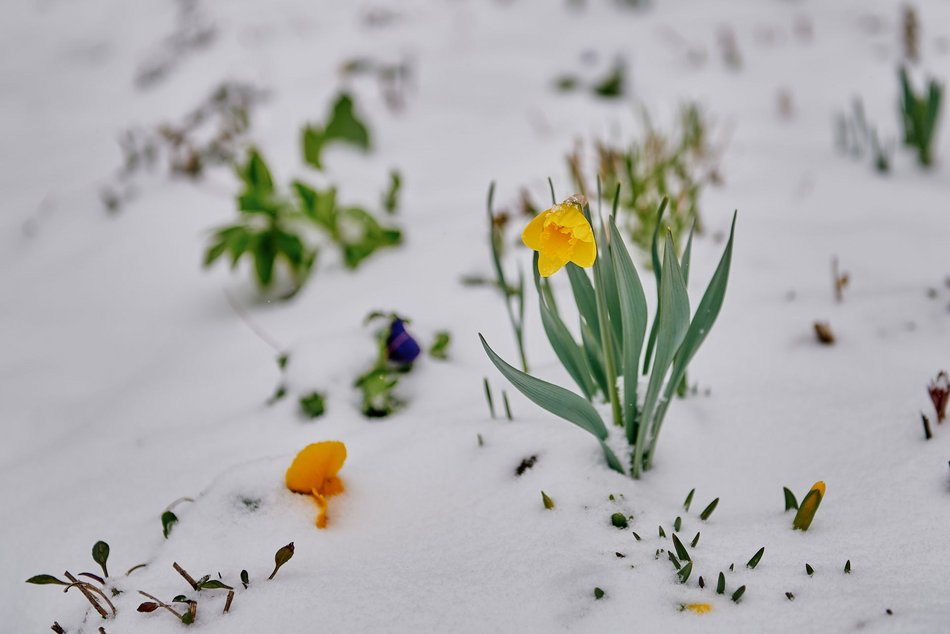fot. Radosław Jóźwiak
