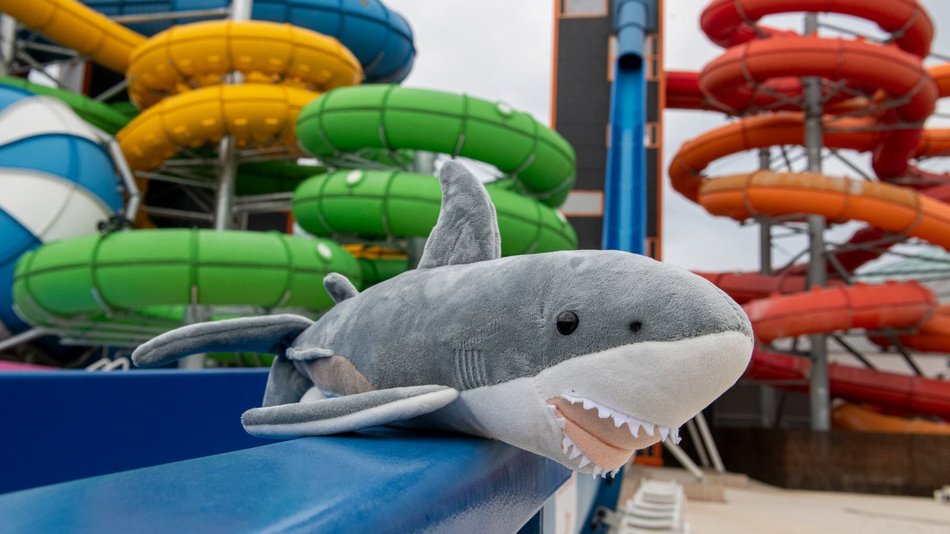 fot. Paweł Łacheta