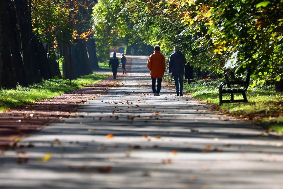 Złota polska jesień w parku na Zdrowiu