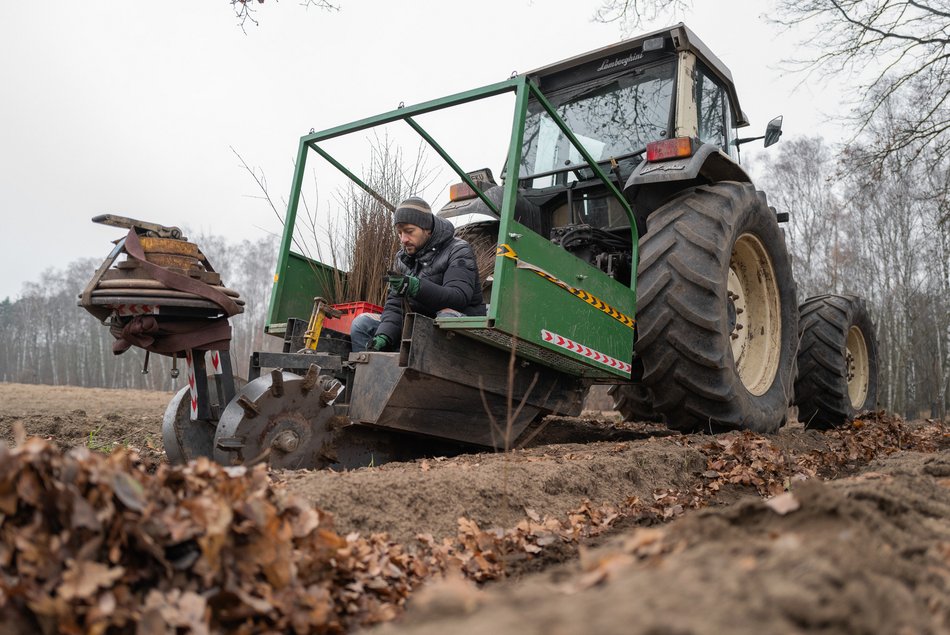 Sadzenie drzew na Żabieńcu
