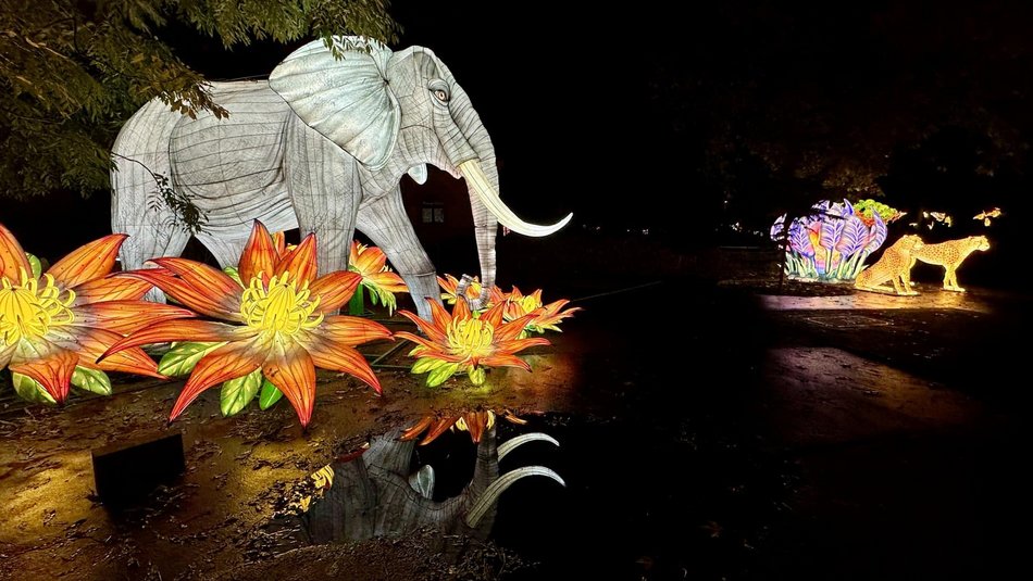 Trasa Parku Miliona Świateł przy Orientarium Zoo Łódź