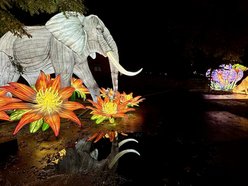 Trasa Parku Miliona Świateł przy Orientarium Zoo Łódź