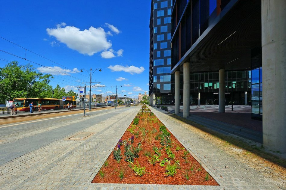 Łódź. Zieleń przy Bramie Miasta w Łodzi. Chwila oddechu w samym centrum