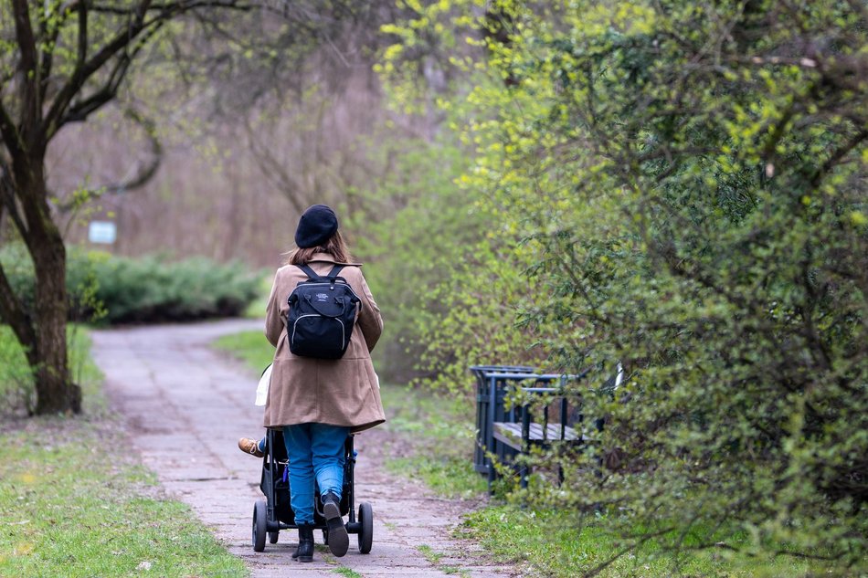 Wiosenny Ogród Botaniczny w Łodzi. Spacer wśród budzącej się do życia przyrody