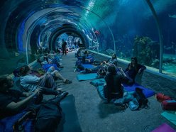 Łódź. TOP 5 atrakcji na rodzinny weekend w Łodzi! Noc w Orientarium, warsztaty Dziatki & Dziadki i więcej