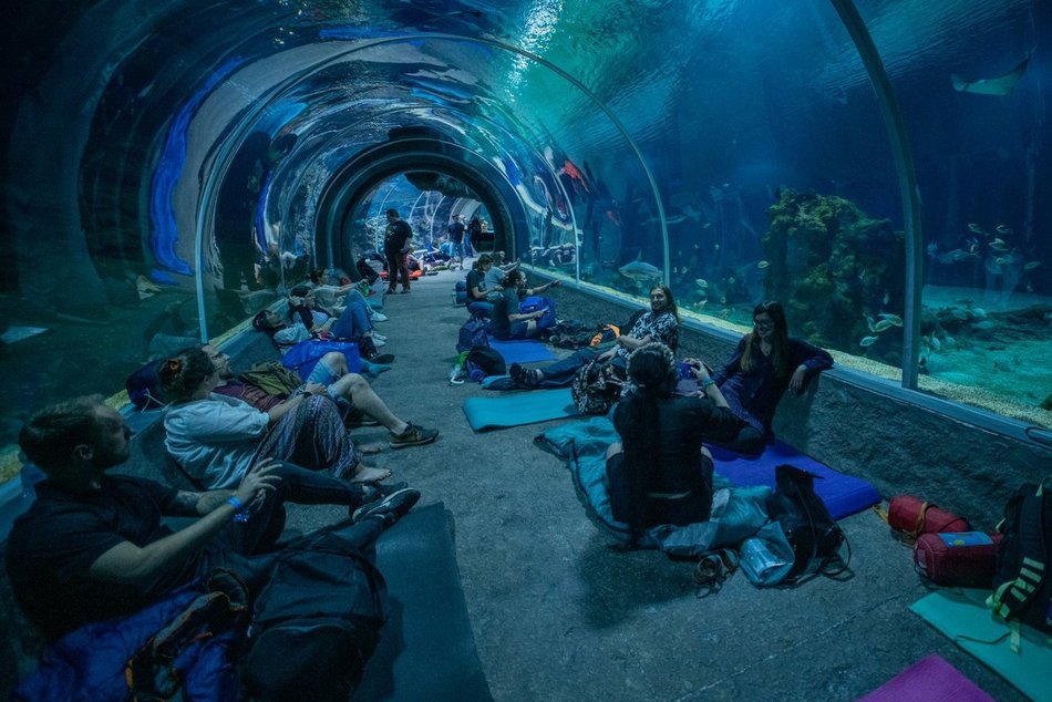 Łódź. TOP 5 atrakcji na rodzinny weekend w Łodzi! Noc w Orientarium, warsztaty Dziatki & Dziadki i więcej