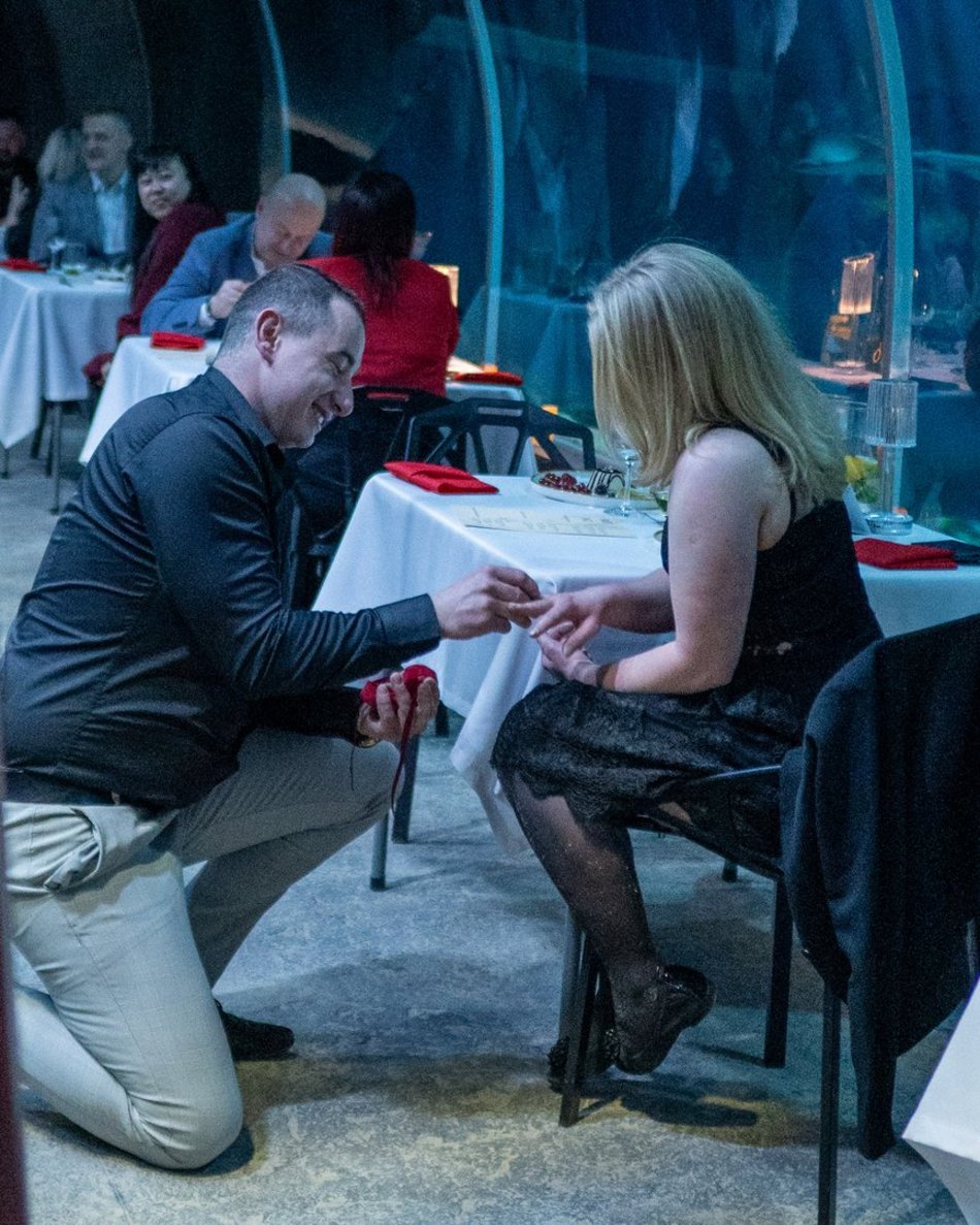 Łódź. Walentynki w Orientarium Zoo Łódź. Przysmaki, koncert na harfie i... zaręczyny