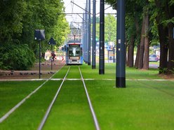 MPK Łódź. Nowe torowisko na ul. Wojska Polskiego