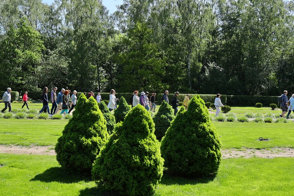 Ogród Botaniczny w Łodzi. Kwitnące rośliny