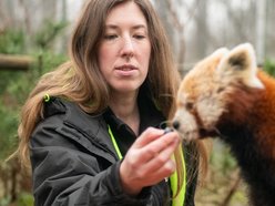 Opiekunka zwierząt z Orientarium Zoo Łódź