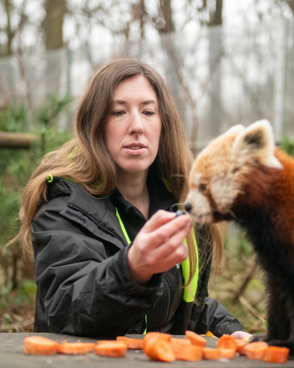 Opiekunka zwierząt z Orientarium Zoo Łódź