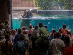 Orientarium Zoo Łódź współpracuje z WWF Polska, edukując na rzecz ochrony dzikiej przyrody
