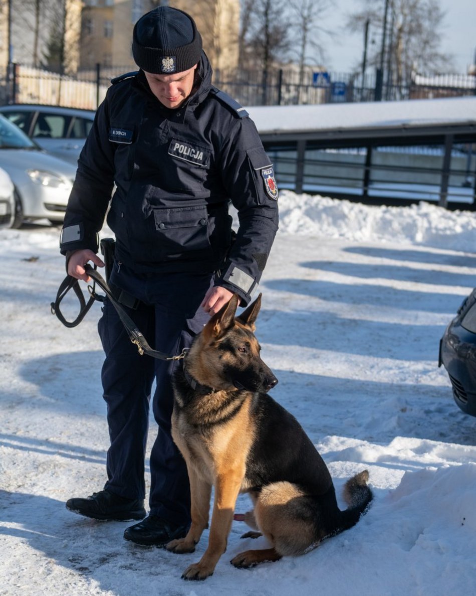 Dwa psy służbowe zasiliły szeregi Komendy Miejskiej Policji w Łodzi