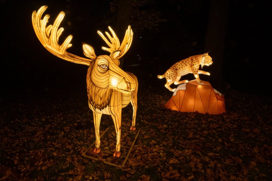 Park Miliona Świateł w Łodzi otwarty! Magiczne zwierzęta opanowały Orientarium Zoo Łódź