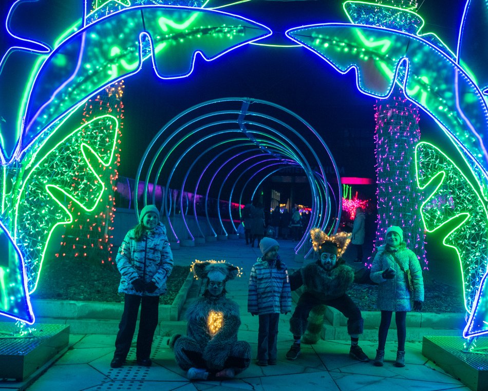 Park Miliona Świateł w Orientarium Zoo Łódź przyciąga tłumy!