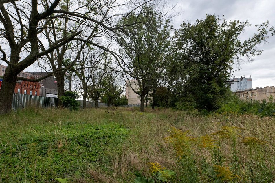 Łódź. Nowy skwer przy Kopcińskiego w Łodzi. Powstanie plac zabaw, wybieg dla psów i spacerowa aleja