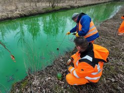 Skandal nad Olechówką! Zanieczyścili rzekę i już zostali złapani