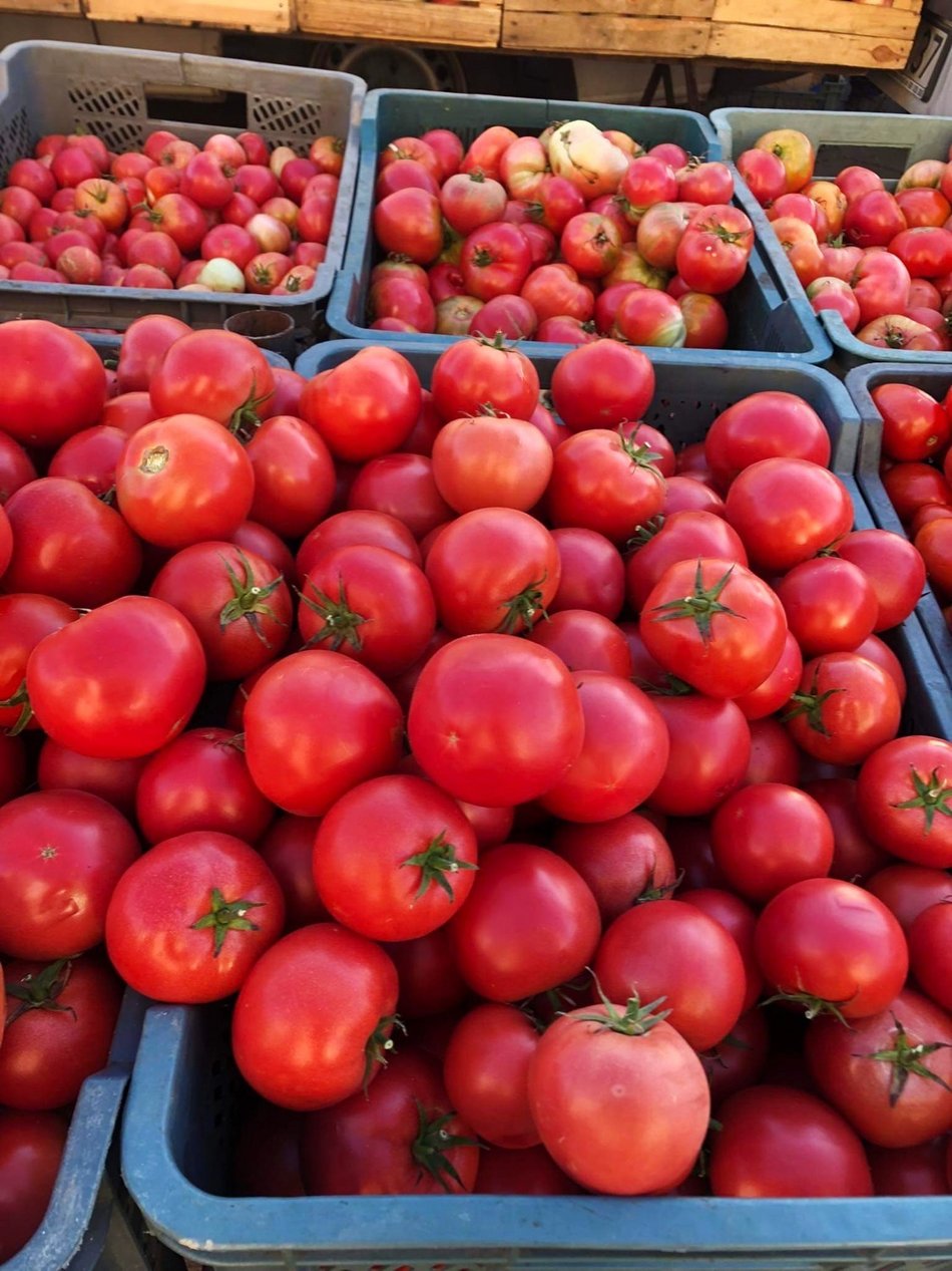Rynek Bałucki Łódź - pomidory