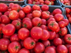 Rynek Bałucki Łódź - pomidory