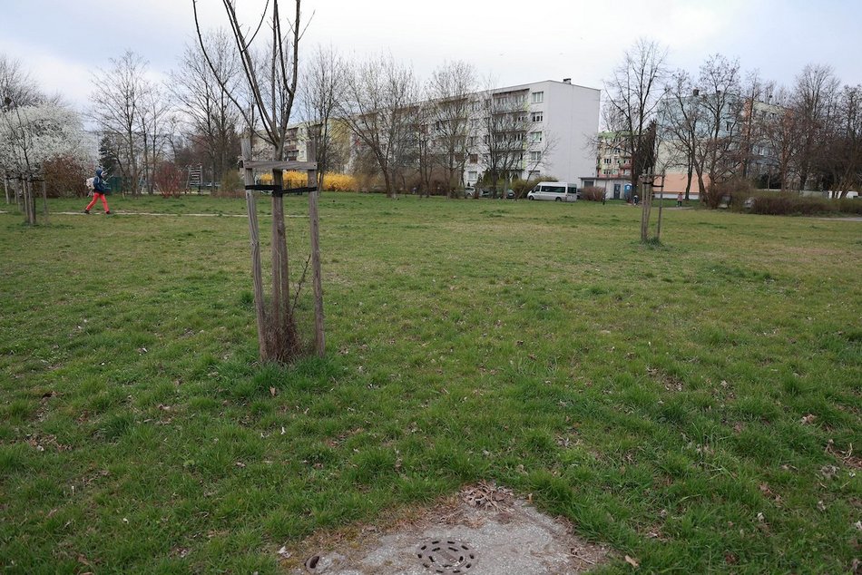 Łódź. Rewolucja mieszkaniowa na Bałutach. Co powstanie w miejscu wyburzonych kamienic?