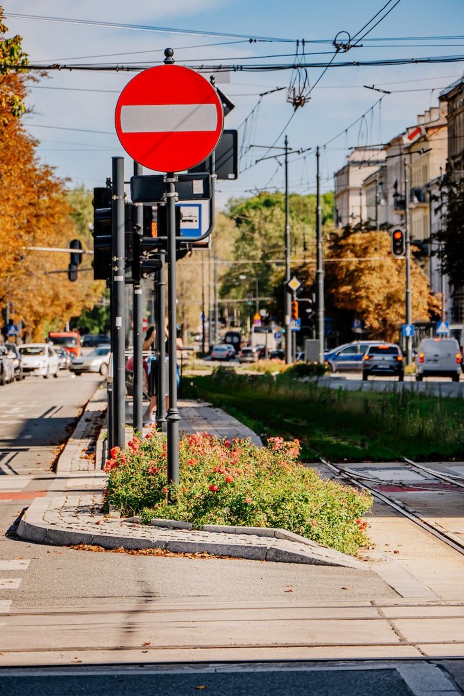 Łódź. Wrzesień w Łodzi potrafi zaskoczyć! Miasto wciąż tętni kolorami i zapachem kwiatów