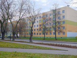 Łódź. Nasadzenia na ul. Kurczaki w Łodzi