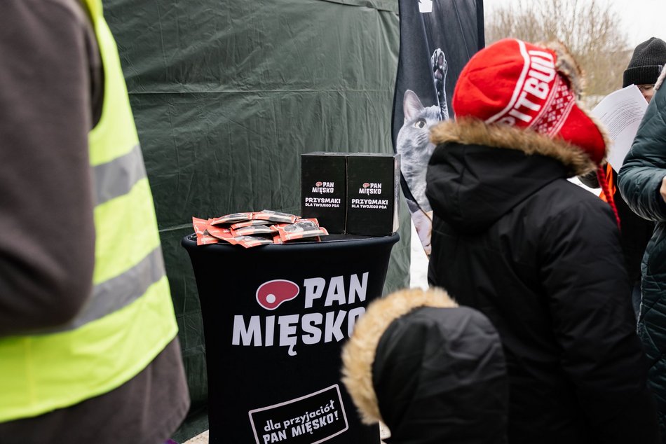 Łódź. Psy ze schroniska w Łodzi znów na spacerze! Dla tych wesołych pyszczków aż chce się chodzić!