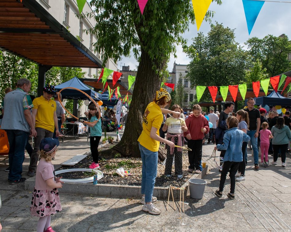 Majówka u Majewskiego