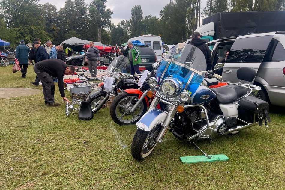 fot. Paweł Łacheta