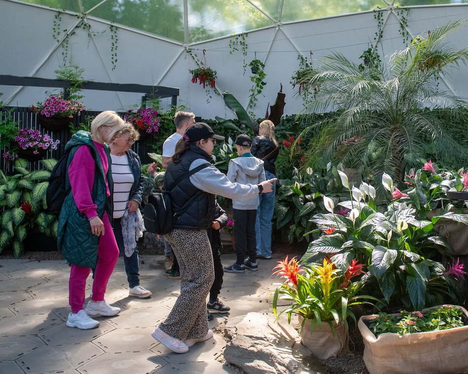 Łódź. Motylarnia w Orientarium Zoo Łódź już otwarta! Zobacz najpiękniejsze motyle świata