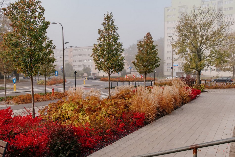 Rondo Vaclava Havla najpiękniejsze w Łodzi? Zobacz Teofilów w jesiennym wydaniu