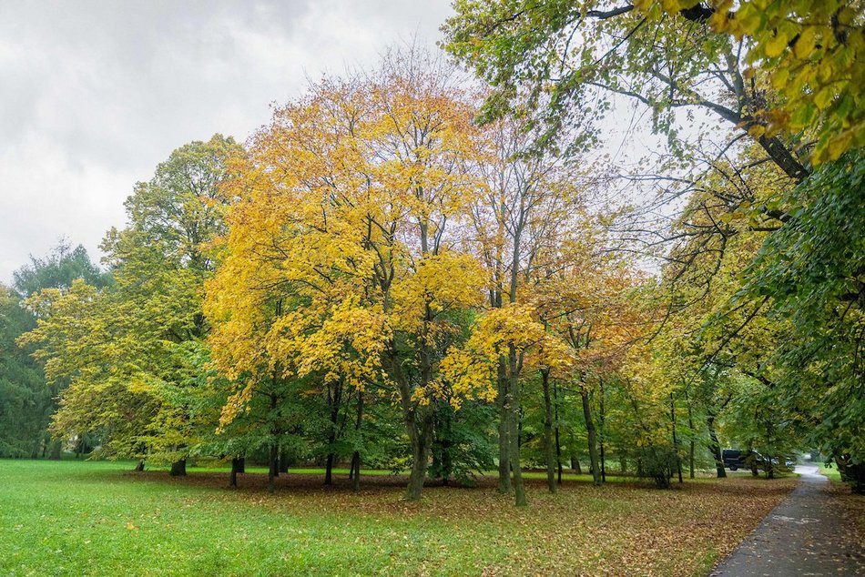 Łódź. Jesienne kadry z parków
